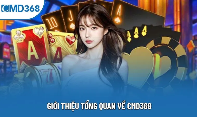 Giới thiệu tổng quan về CMD368 Giới thiệu tổng quan về CMD368