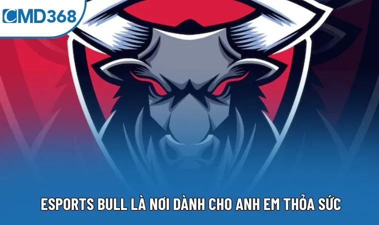 Esports Bull là nơi dành cho anh em thỏa sức