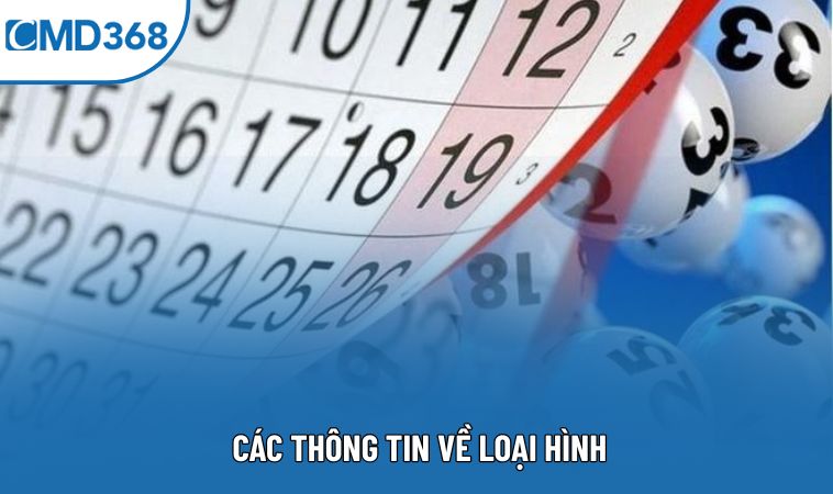 Các thông tin về loại hình