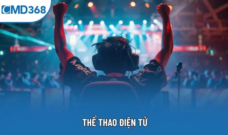 Thể Thao Điện Tử: Đỉnh Cao Cạnh Tranh Trong Thế Giới Ảo